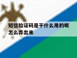 短信验证码是干什么用的呢怎么弄出来