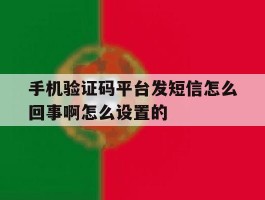 手机验证码平台发短信怎么回事啊怎么设置的