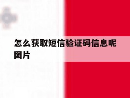 怎么获取短信验证码信息呢图片