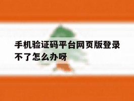 手机验证码平台网页版登录不了怎么办呀的简单介绍