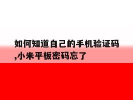 如何知道自己的手机验证码,小米平板密码忘了