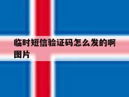 临时短信验证码怎么发的啊图片
