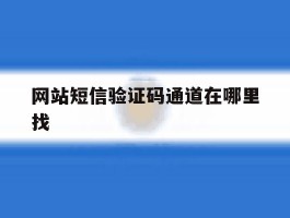 网站短信验证码通道在哪里找