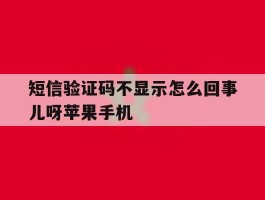 短信验证码不显示怎么回事儿呀苹果手机