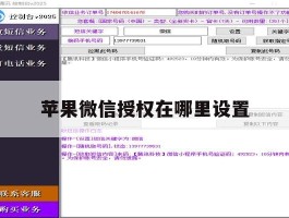 苹果微信授权在哪里设置