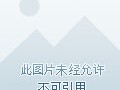 中国大陆免费接收短信的平台
