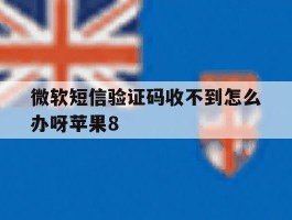 微软短信验证码收不到怎么办呀苹果8