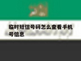 包含临时短信号码怎么查看手机号信息的词条