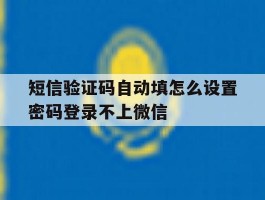 短信验证码自动填怎么设置密码登录不上微信的简单介绍