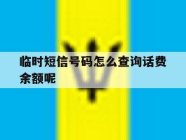 临时短信号码怎么查询话费余额呢的简单介绍
