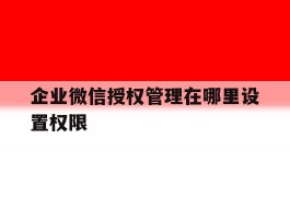 企业微信授权管理在哪里设置权限