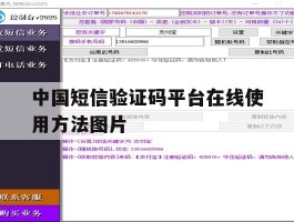 中国短信验证码平台在线使用方法图片的简单介绍