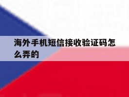 海外手机短信接收验证码怎么弄的