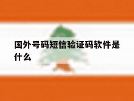 国外号码短信验证码软件是什么