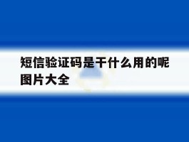 短信验证码是干什么用的呢图片大全的简单介绍
