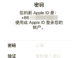 短信验证码怎么自动填写信息呢苹果
