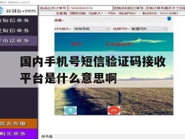 国内手机号短信验证码接收平台是什么意思啊