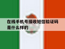 在线手机号接收短信验证码是什么样的
