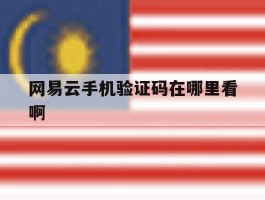 网易云手机验证码在哪里看啊