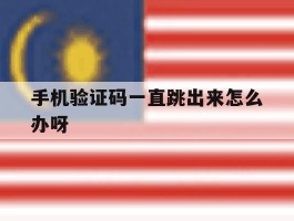 手机验证码一直跳出来怎么办呀
