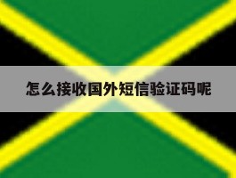 怎么接收国外短信验证码呢