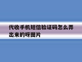 关于代收手机短信验证码怎么弄出来的呀图片的信息