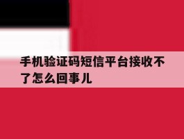手机验证码短信平台接收不了怎么回事儿的简单介绍
