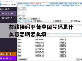 在线接码平台中国号码是什么意思啊怎么填