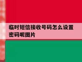 临时短信接收号码怎么设置密码呢图片