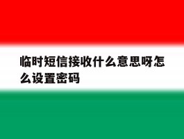 临时短信接收什么意思呀怎么设置密码