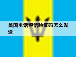美国电话短信验证码怎么发送