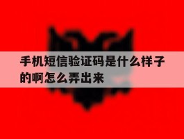 手机短信验证码是什么样子的啊怎么弄出来