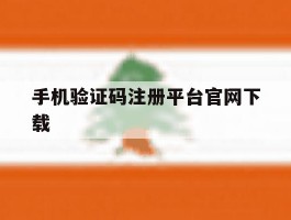 手机验证码注册平台官网下载