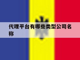 代理平台有哪些类型公司名称