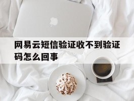 网易云短信验证收不到验证码怎么回事