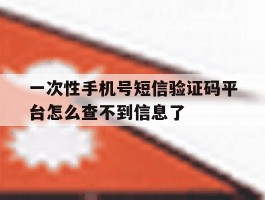 一次性手机号短信验证码平台怎么查不到信息了的简单介绍
