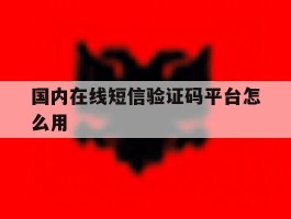 国内在线短信验证码平台怎么用