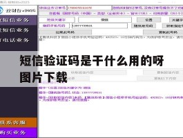 短信验证码是干什么用的呀图片下载
