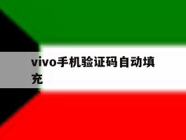 vivo手机验证码自动填充