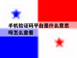 手机验证码平台是什么意思呀怎么查看