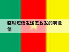 临时短信发送怎么发的啊微信
