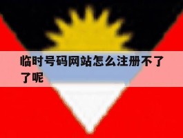 临时号码网站怎么注册不了了呢