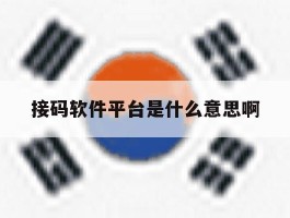 接码软件平台是什么意思啊