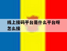 线上接码平台是什么平台呀怎么接