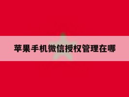 苹果手机微信授权管理在哪