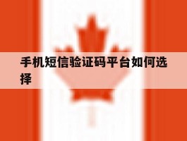 手机短信验证码平台如何选择
