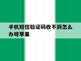手机短信验证码收不到怎么办呀苹果