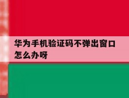 华为手机验证码不弹出窗口怎么办呀