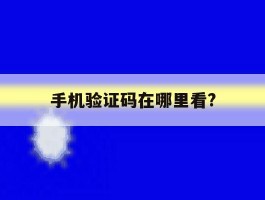 手机验证码在哪里看?