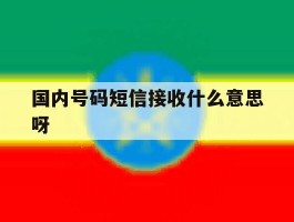 国内号码短信接收什么意思呀